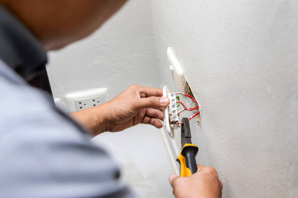 Best Local Electrician Companies  in Canadian Lakes, MI