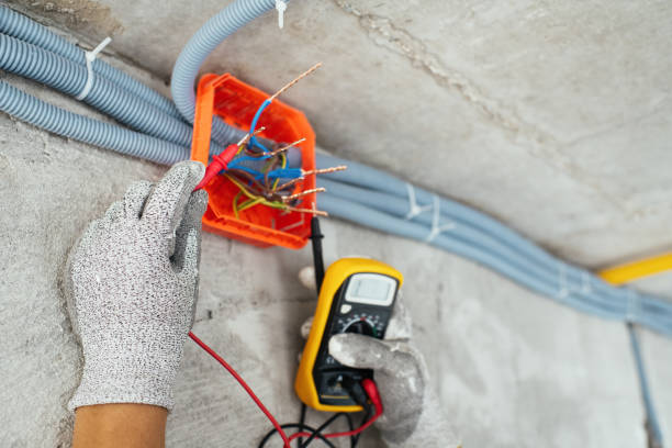 Best Electrical Wiring Services  in Canadian Lakes, MI