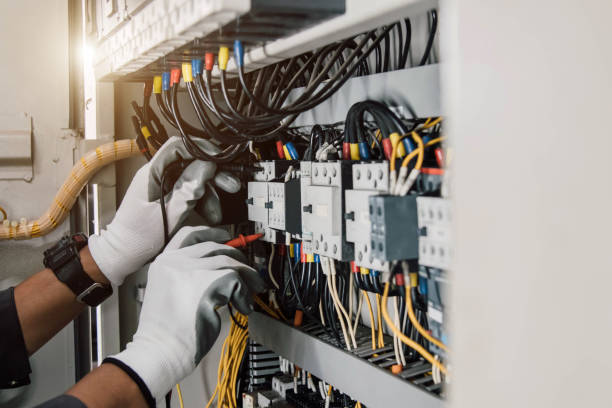Best Home Electrical Repair  in Canadian Lakes, MI